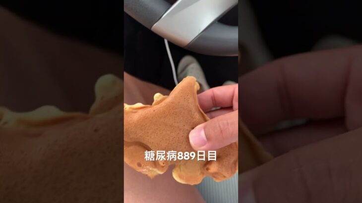 北海道形のカスタードたい焼き食べた糖尿病889日目食事記録  #糖尿病の品格 #糖尿病 #心筋梗塞 #血糖値 #hba1c #たい焼き #北海道