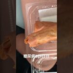 野生の中華春巻き食べた糖尿病889日目食事記録  #糖尿病の品格 #糖尿病 #心筋梗塞 #血糖値 #hba1c #春巻き #はるまき