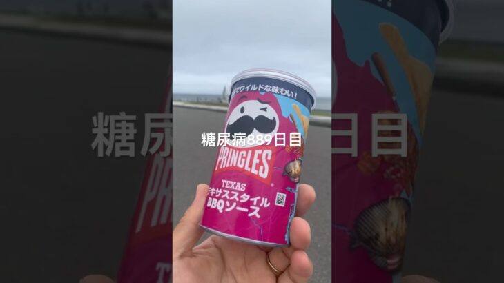 プリングルスの変な味は基本的に美味しく無い糖尿病889日目食事記録  #糖尿病の品格 #糖尿病 #心筋梗塞 #血糖値 #hba1c
