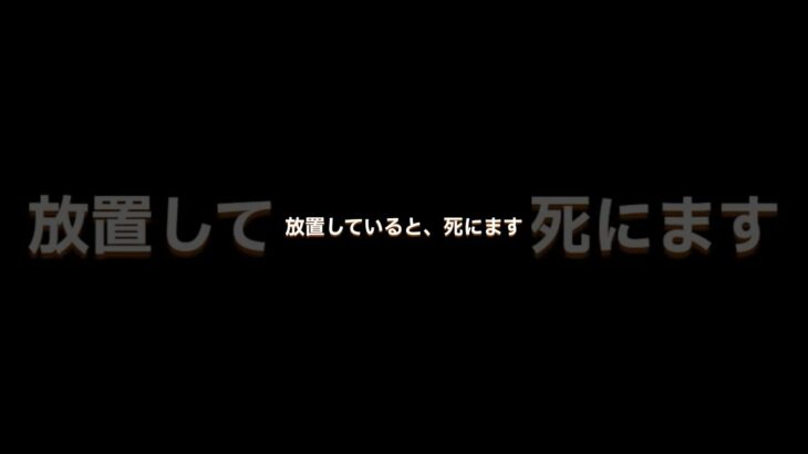 【とある経験談】こんな生活で糖尿病になりました　#糖尿病 #糖尿病予防 #生活習慣病 #血糖値 #ヘモグロビンA1c #食生活改善 #運動習慣 #インスリン治療 #健康管理 #糖尿病体験談