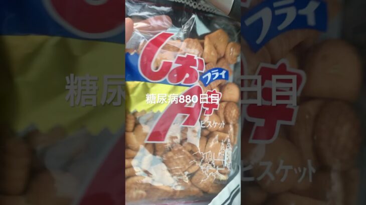 しおフライA字ビスケット食べた糖尿病880日目食事記録  #糖尿病の品格 #糖尿病 #心筋梗塞 #血糖値 #hba1c