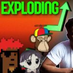 Crypto NFT’s Are Pumping! Some NFT’s Are Up Over $30,000 In A Week! My Top NFT picks
