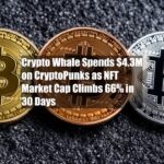 Crypto Whale Spends $4.3M on CryptoPunks as NFT Market Cap Climbs 66% in 30 Days