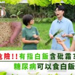 食好D｜危險!! 有指白飯含砒霜? 糖尿病可以食白飯？｜陸浩明 莊子璇 馮盈盈 宋宛穎｜健康 煮食 營養 食譜 ｜TVB綜藝