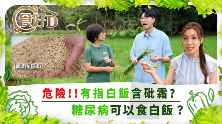 食好D｜危險!! 有指白飯含砒霜? 糖尿病可以食白飯？｜陸浩明 莊子璇 馮盈盈 宋宛穎｜健康 煮食 營養 食譜 ｜TVB綜藝