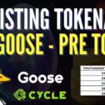 GOOSE Wystartował w PRE TGE | Wkrótce Koniec Sprzedaży NFT! 🚨