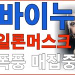 시바이누코인 일론머스크 폭풍 매집중인 이유? NFT 가 이래서 좋구나