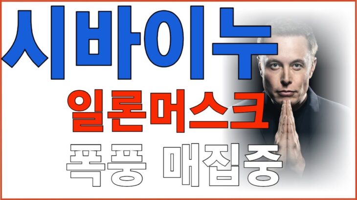 시바이누코인 일론머스크 폭풍 매집중인 이유? NFT 가 이래서 좋구나