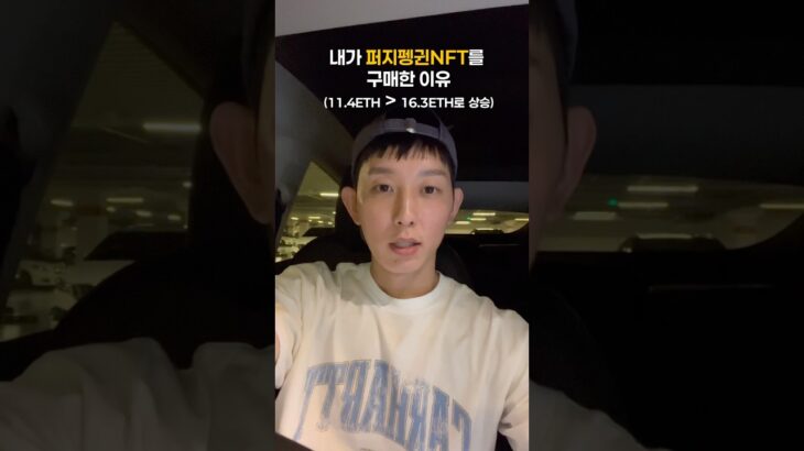 퍼지펭귄NFT를 왜 샀을까?