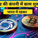 NFT bucket क्या है कैसे काम करती हैं पूरी जानकारी