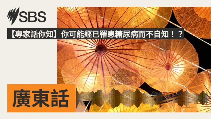 【專家話你知】你可能經已罹患糖尿病而不自知！？ | SBS Cantonese – SBS廣東話節目