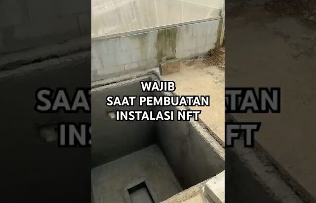 Sebelum pembuatan instalasi nft semua pipa input dan output wajib terpendam #kebunmelon #hidroponik