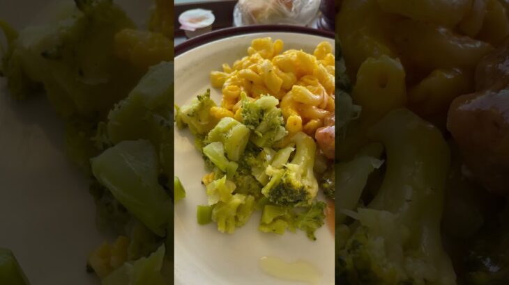 周二中午洛杉矶疗养院的糖尿病餐 #food #hospitalfood #cooking #又见炊烟 #hospital #breakfast #yummy #lunch #fireworks