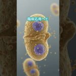 糖尿病、完治する時代が来る…そのカギは“iPS細胞