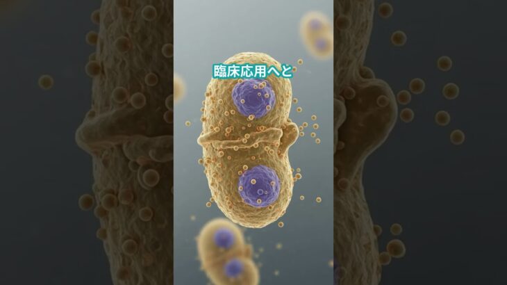 糖尿病、完治する時代が来る…そのカギは“iPS細胞