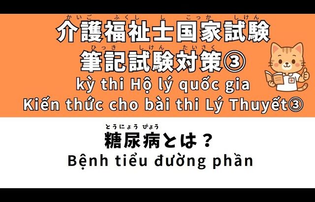 介護福祉士国家試験筆記試験対策③【糖尿病とは？】　kỳ thi Hộ lý quốc giaKiến thức cho bài thi Lý Thuyết③【Bệnh tiểu đường phần】