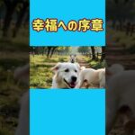 マーシーハウツー劇場★糖尿病はこわい　　　#shorts