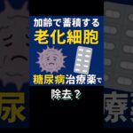 加齢で蓄積する『老化細胞』、糖尿病治療薬で除去？　#雑学 #医学 #健康 #ショート #shorts