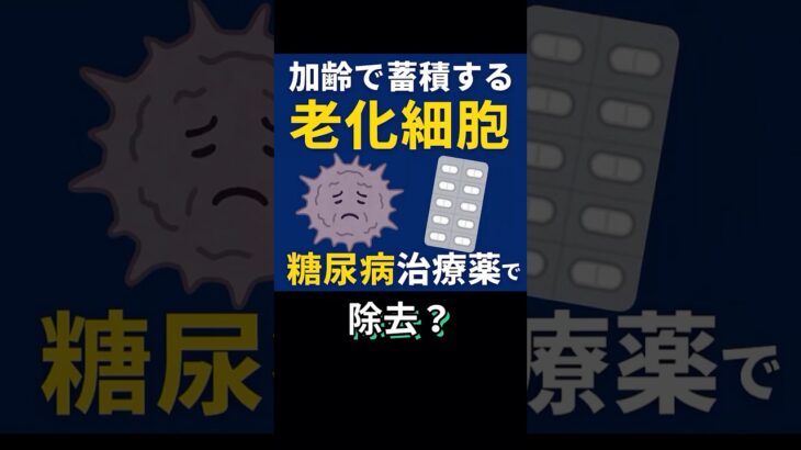 加齢で蓄積する『老化細胞』、糖尿病治療薬で除去？　#雑学 #医学 #健康 #ショート #shorts