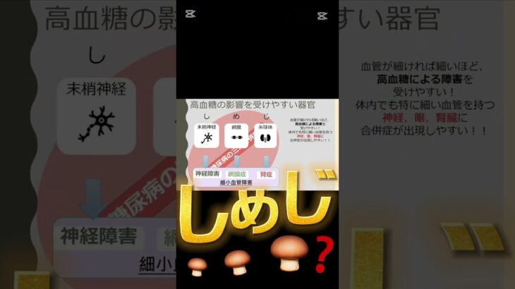 糖尿病の慢性合併症について看護師が解説！詳しくは本編へ！#看護師 #糖尿病 #糖尿病慢性合併症 #神経障害 #糖尿病網膜症 #糖尿病性腎症 #糖尿病連携手帳 #shorts #shortvideo