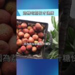 怎麼吃荔枝才安全？患糖尿病、腎病者，以及中老年人要注意！