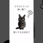 ステロイドのお話