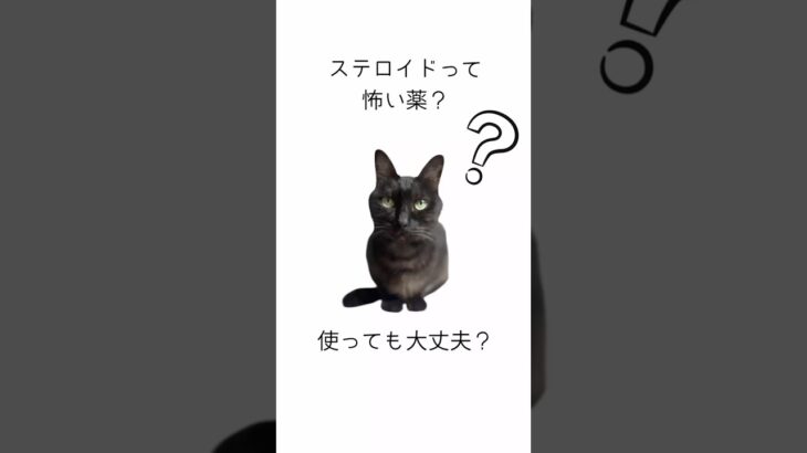 ステロイドのお話