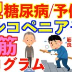 糖尿病サルコペニア予防のための運動療法｜筋トレメニューの組み方