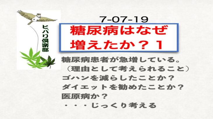 【武田邦彦】【真実】糖質制限で糖尿病が増える本当の理由とは？