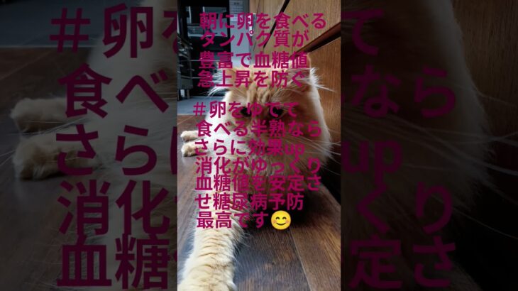 ＃朝卵を食べると血糖値を安定させ糖尿病予防＃半熟のがもっともっと良いです😊