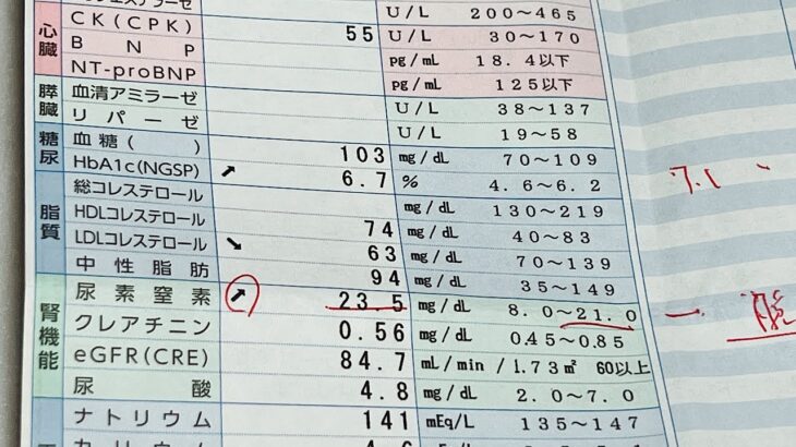 【おでぶ❣️糖尿病】採血💉の結果ライブ😘