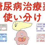 【内分泌】糖尿病治療薬使い分け