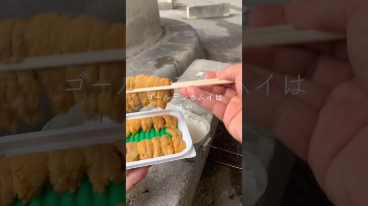 ゴールデンカムイは俺や  #糖尿病の品格