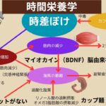 時間栄養学　肥満と糖尿病　朝食を食べない方や夕食の時間が遅い夜型の生活は、中枢時計と末梢時計に時差ぼけが生じます。夜勤の方はなおさらです。時差ぼけでは、自由な時間に食事が出来るときに、肥満になります。