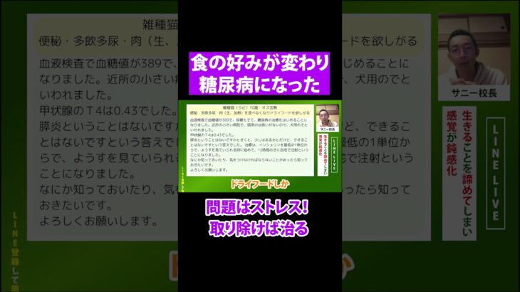 【お悩み相談会】食の好みが変わり糖尿病になった #サニーズアニマルクリニック#サニーズアニマルアカデミー #サニー校長 #動物病院 #猫の糖尿病 #猫