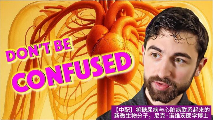 【中配】将糖尿病与心脏病联系起来的新微生物分子，尼克·诺维茨医学博士