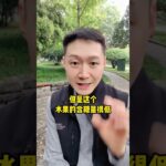 得了糖尿病，就不能吃水果了？ #糖尿病 #硬核健康科普行动