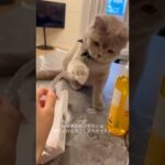 #初マタ #妊娠糖尿病 #糖質 #プレパパ #プレママ #妊娠 #妊婦 #妊婦生活