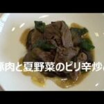 糖尿病食 豚肉と夏野菜のピリ辛炒め