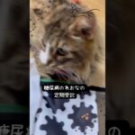 糖尿病のれおな。最近の尿量が気になり相談しました！