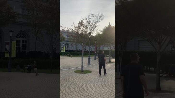 世界糖尿病日-台南奇美博物館🤓