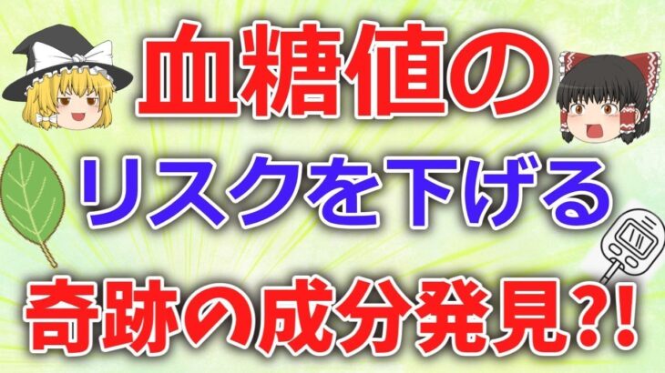 血糖値下げないとマジでヤバい。糖尿病を回避する方法ある？【ゆっくり解説】