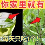 奇蹟！一片叶子击退糖尿病、坏胆固醇和大肚腩！
