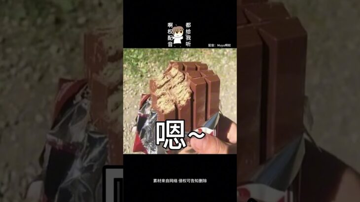 【啊权不想長大配音】糖尿病：？
