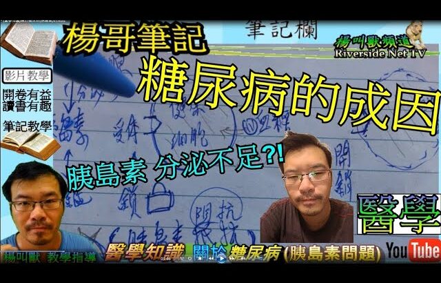 關於糖尿病(胰島素)的成因?!  楊哥筆記 – (醫學知識)