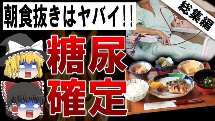 【総集編】朝食抜いたら糖尿病になる?!朝食のメリットとオススメ【ゆっくり解説】