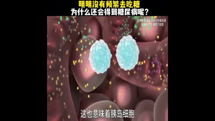 「明明沒有頻繁去吃糖，為什麼還會得到糖尿病呢？」