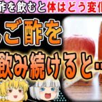 【ゆっくり解説】ダイエットや糖尿病の予防に⁉リンゴ酢を飲み続けると起こる変化とは
