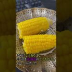 調整の日 #食事 #健康 #料理 #生活 #趣味 #栄養 #魚 #野菜 #血糖値 #1型糖尿病 #病気 #結果 #挑戦 #パフォーマンス #好奇心 #勉強 #ショート