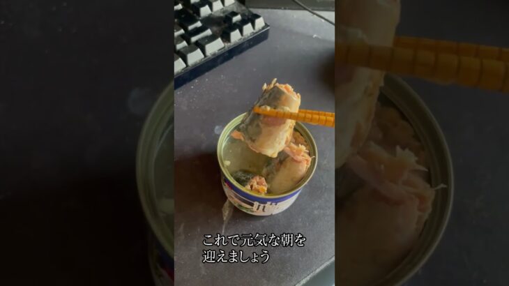 やっぱりこれ #食事 #健康 #料理 #生活 #栄養 #趣味 #朝食 #血糖値 #1型糖尿病 #病気#結果 #挑戦 #パフォーマンス #勉強 #ショート #好奇心